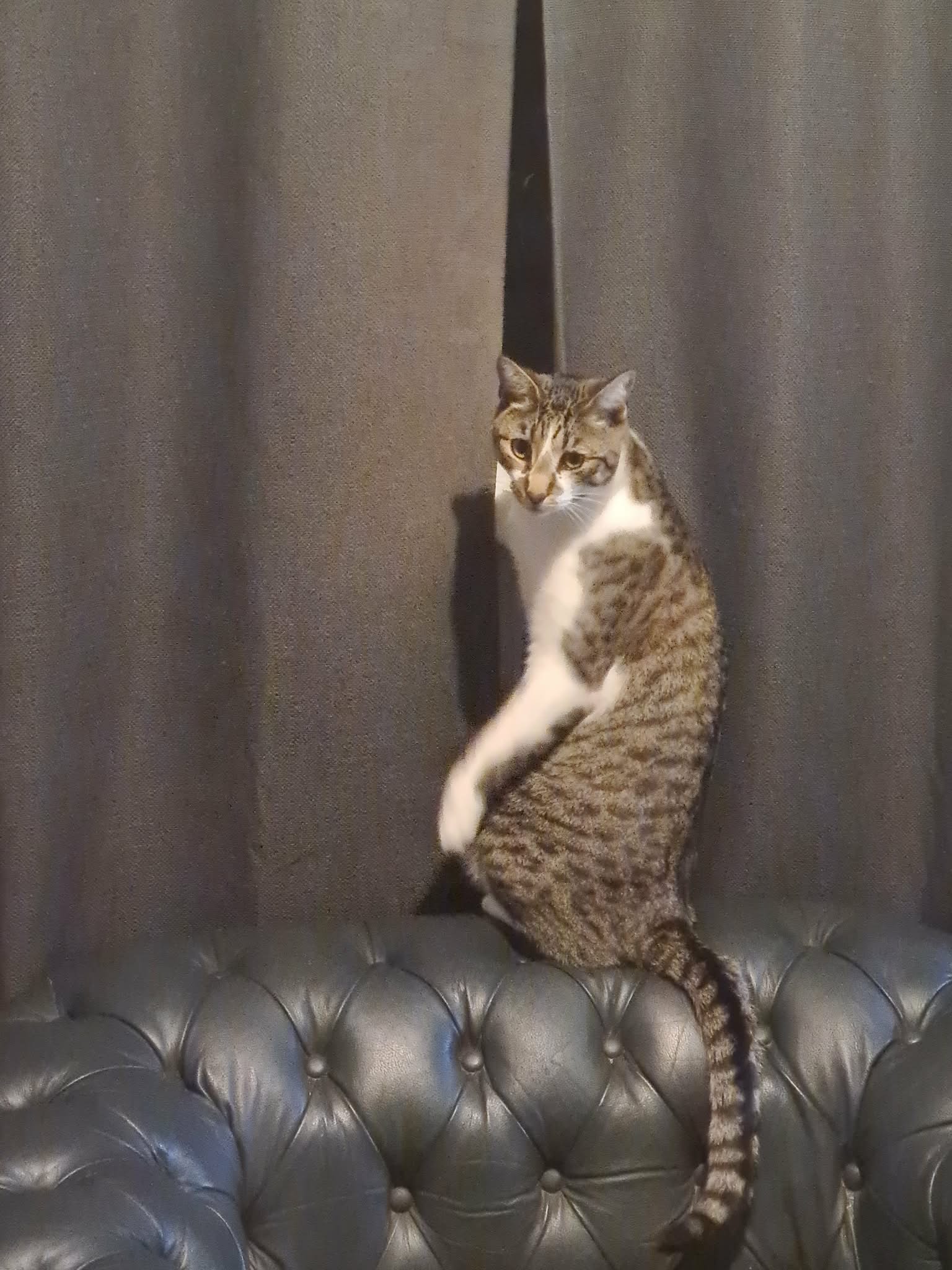 att.dMgBFHtISZaMRKVxD2xr8ScJLWqNgPG5pnyBFwinI68