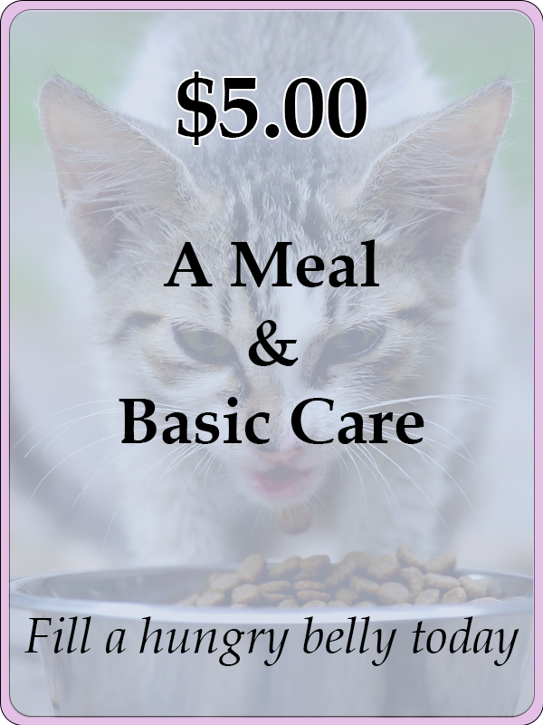 five dollars