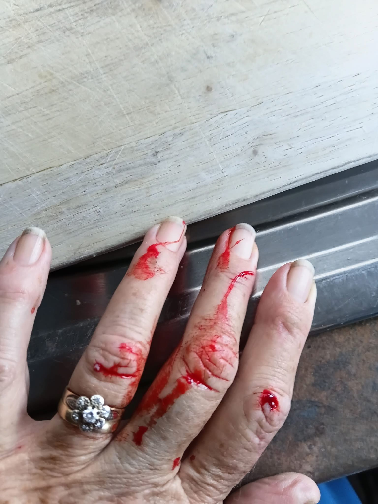 IMG 0669