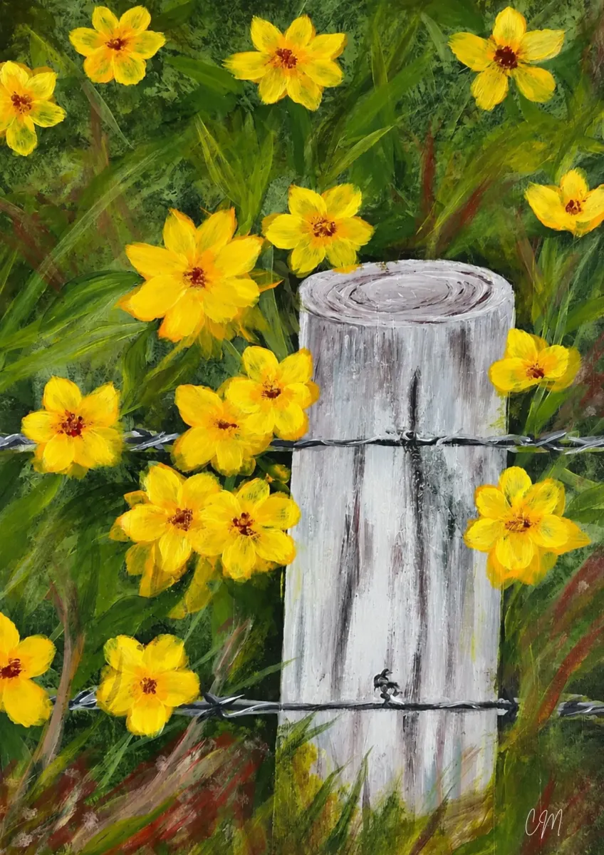 Daffodils